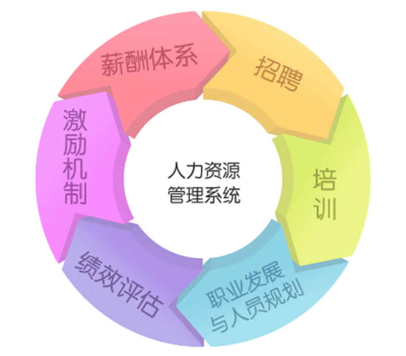蓉城企业管理咨询，如何引领企业航向？
